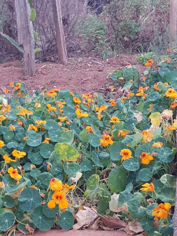 Chalés Magia das Águas Águas de Lindóia Esterno foto