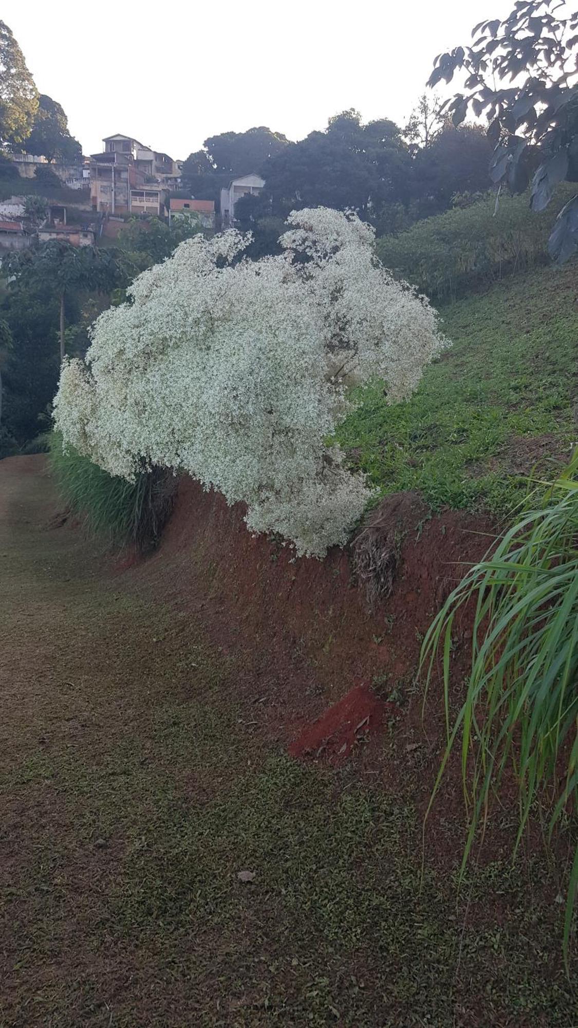 Chalés Magia das Águas Águas de Lindóia Esterno foto